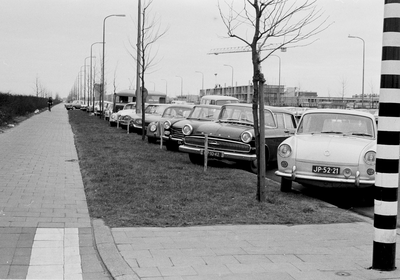 127441 Afbeelding van in verband met de Voorjaarbeurs langs de Beneluxlaan te Utrecht geparkeerde auto's, gezien vanaf ...